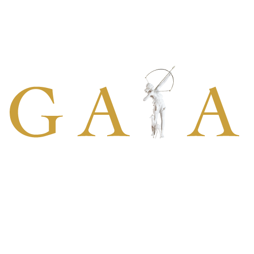 Logo Gaia Executive Search