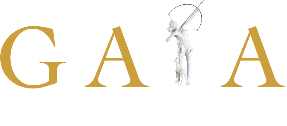 Logo doré GAIA Executive Search
